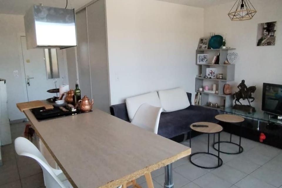 appartement douillet Apartment in Occitanie
