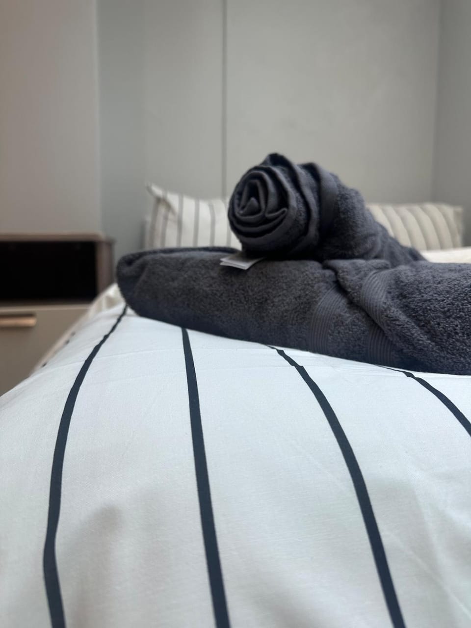 Lovely studio in London 20 min to central London Apartment in London