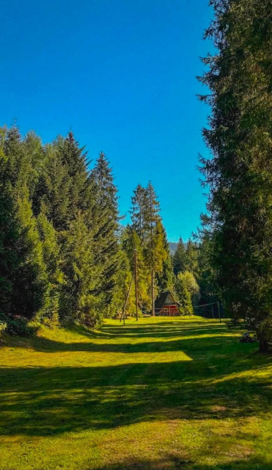 Spring, Day, Natural landscape, Garden, Garden view