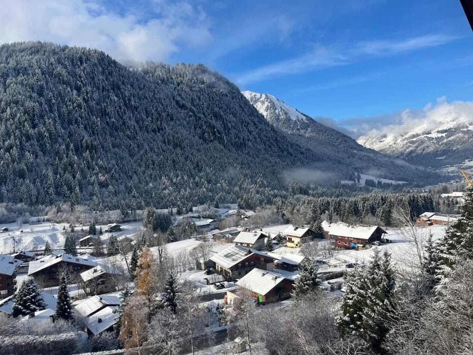 Apartment village center 3 rooms Apartment in Châtel