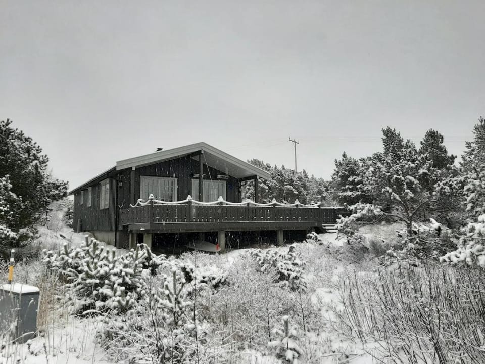 Winter