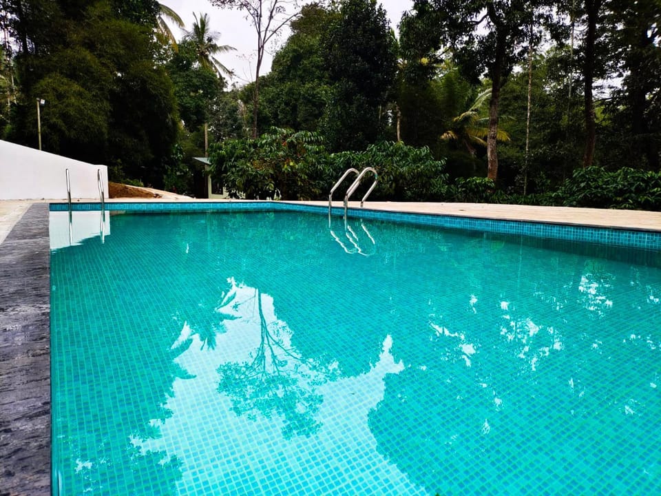 Day, Pool view, Swimming pool