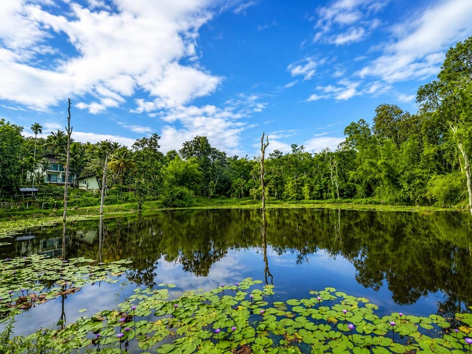 Nearby landmark, Day, Lake view