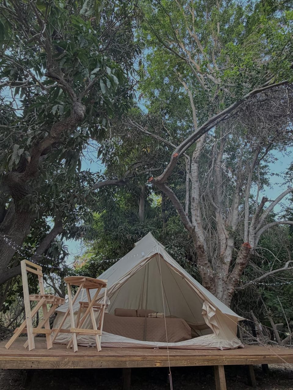 BajaRoots Glamping Luxury tent in Baja California Sur