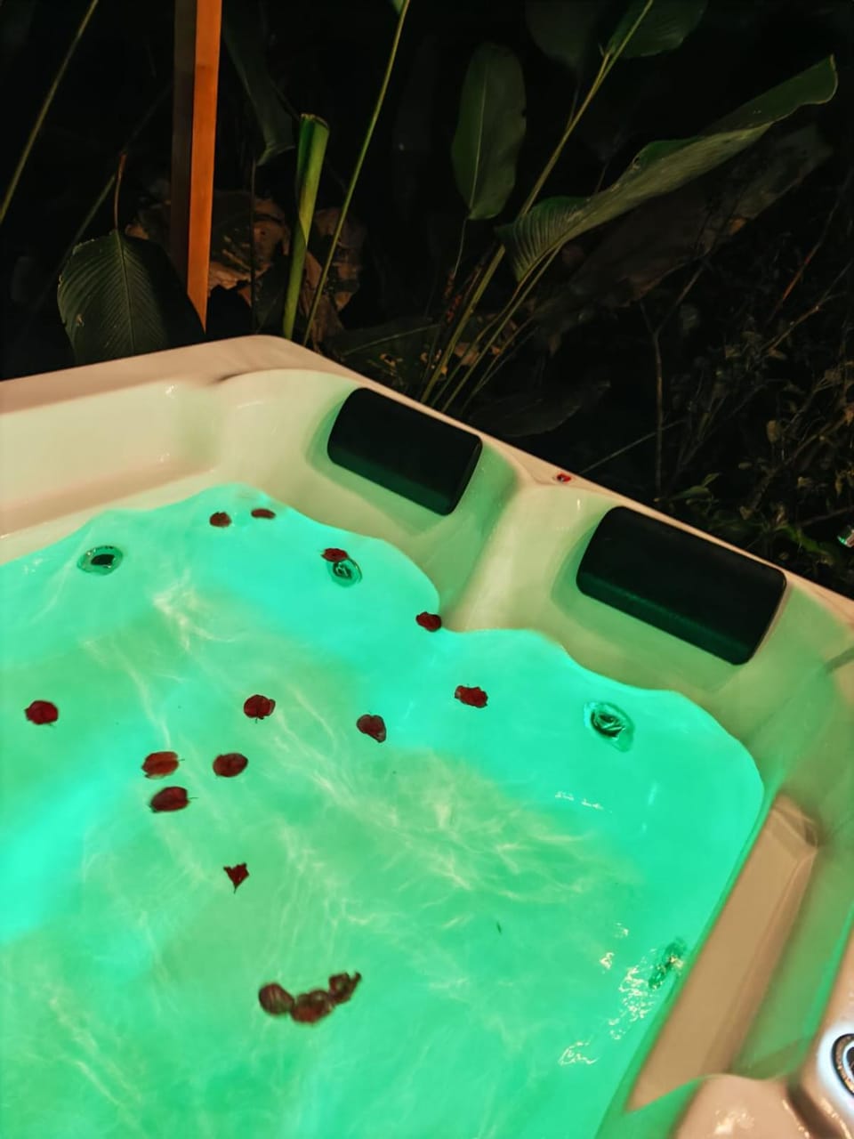 Hot Tub, Hot Tub