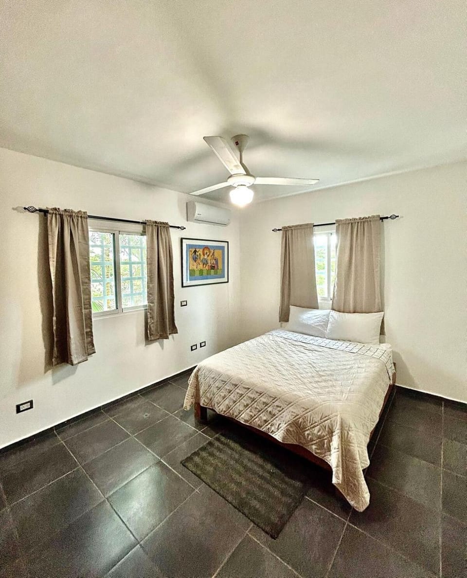 Villa Fidelina Picsina Villa in María Trinidad Sánchez Province