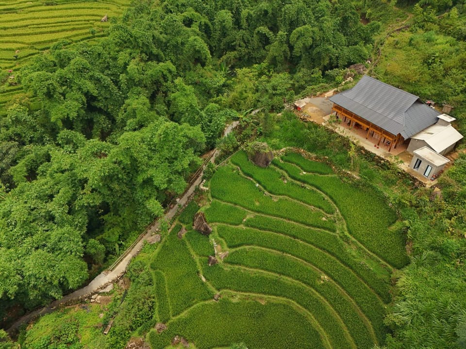 Natural landscape, Bird's eye view, Garden view