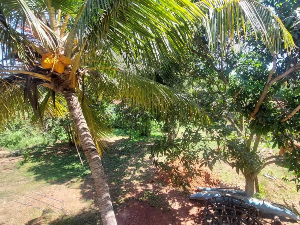 Natural landscape, Garden, Garden view
