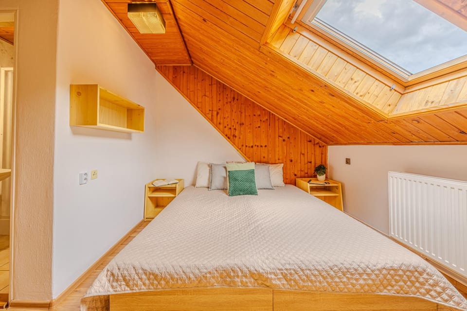 Krásná pod Lysou horou Apartment in Czechia