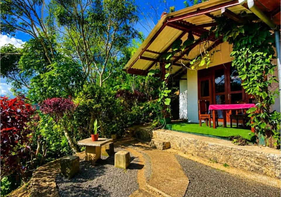 Property building, Patio, Day, Garden