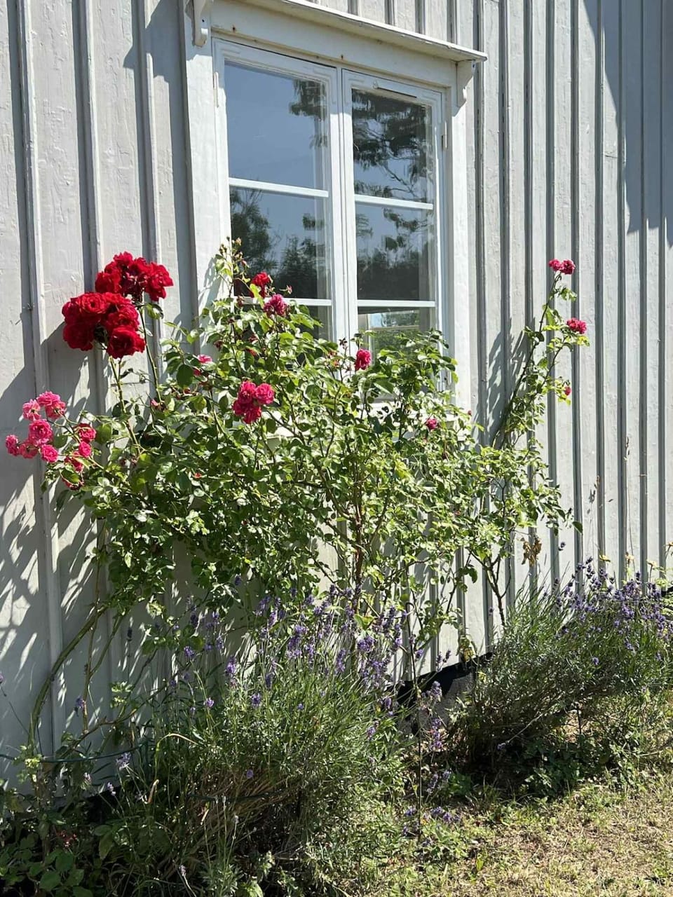 Lovely summer house on Öland House in Kalmar County, Sweden