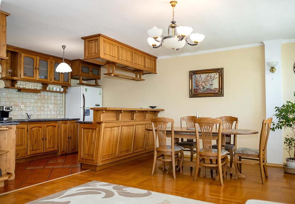 Kitchen or kitchenette, Dining area, oven, stove