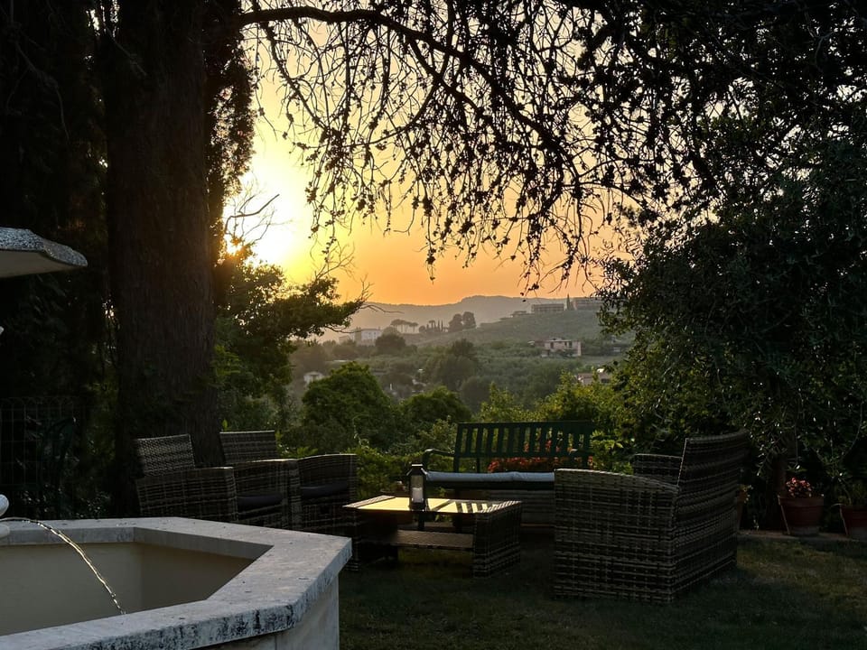 Garden, Sunset