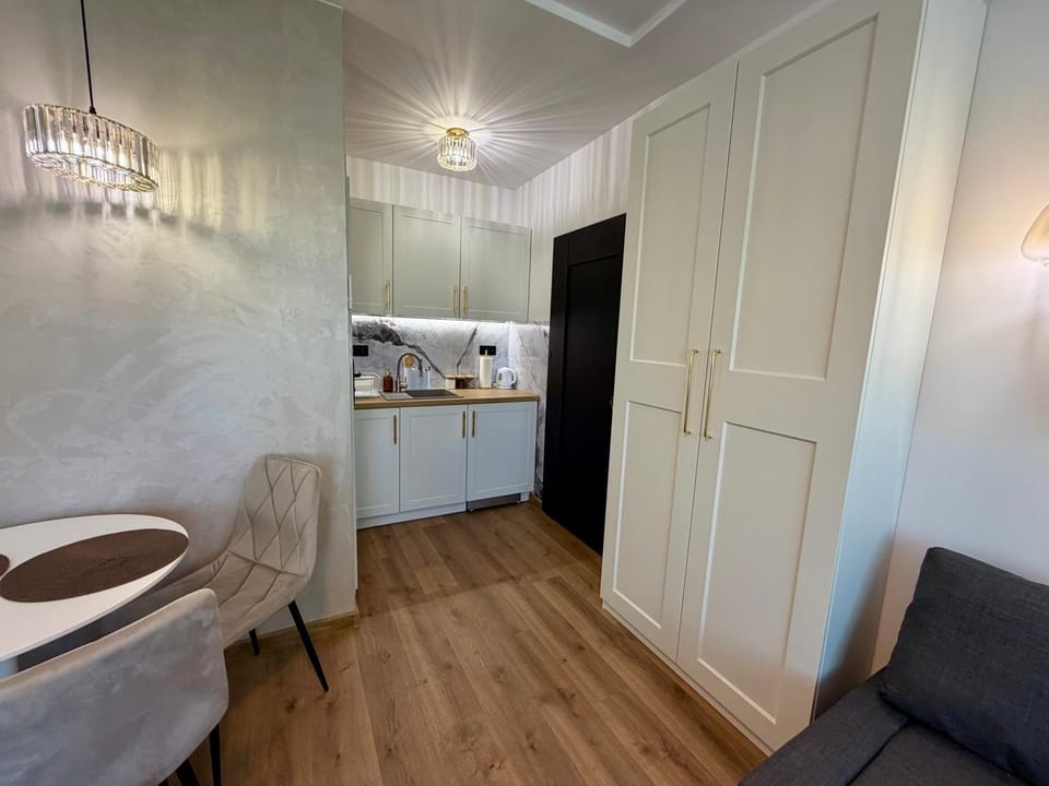 Kitchen or kitchenette, Living room, Seating area, Dining area, stove, wardrobe