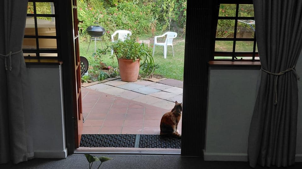 Sunbird Studio Apartment in Knysna