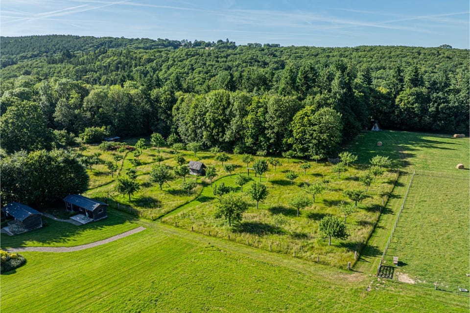 Natural landscape, Bird's eye view, Garden, Garden view