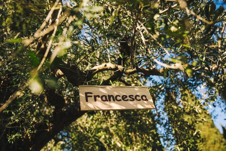 Debre Mariam Guest House Bed and Breakfast in Bologna