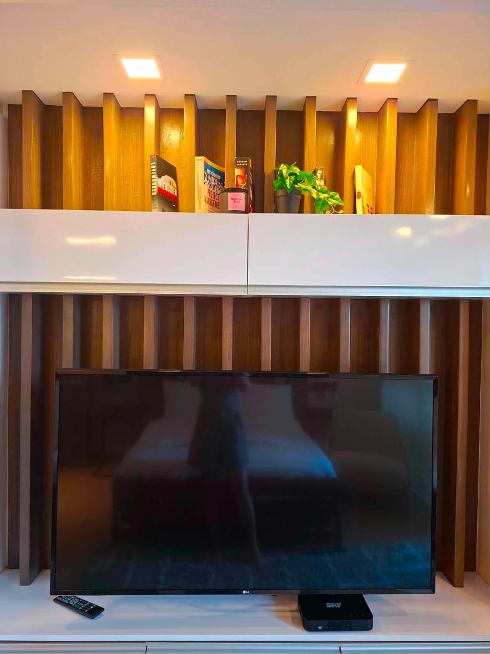 TV and multimedia