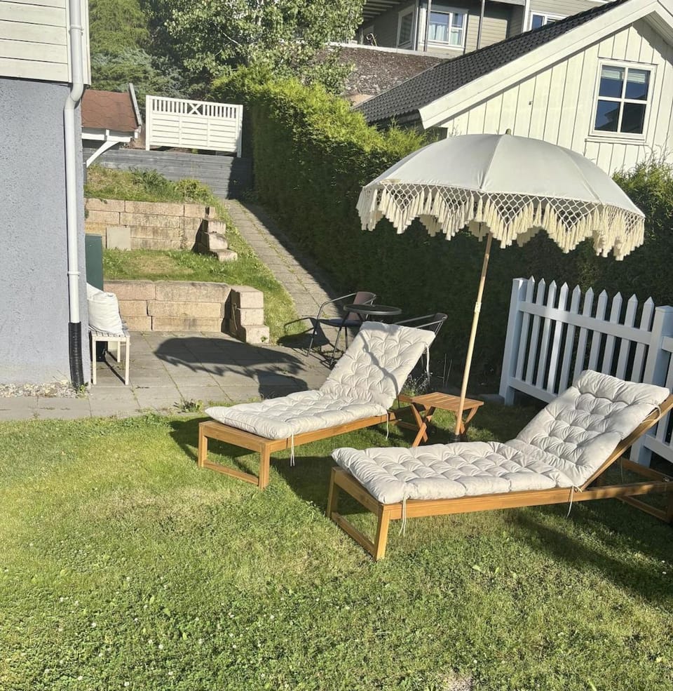 Patio, sunbed