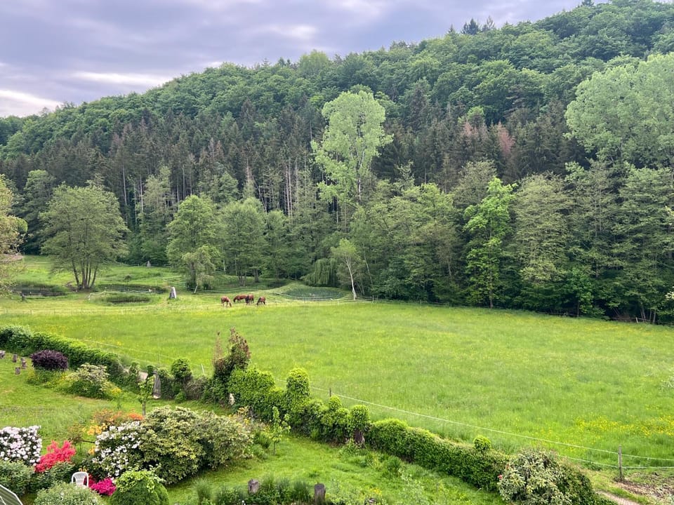 View (from property/room)