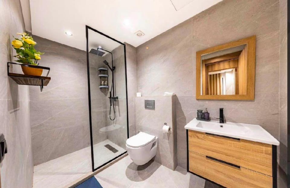 Shower, Toilet, bidet, towels