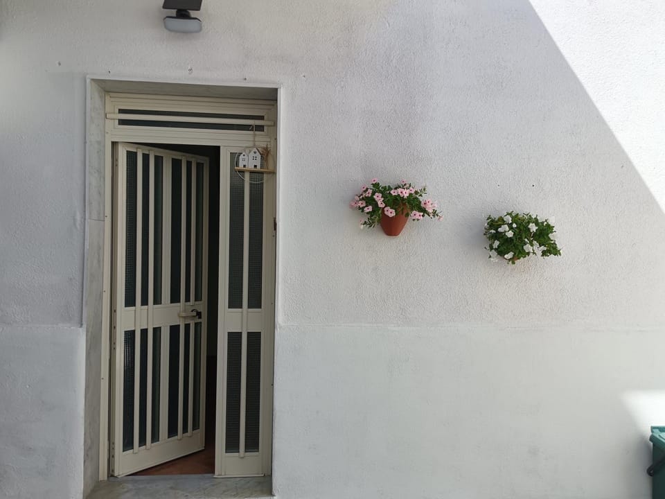 Inner courtyard view