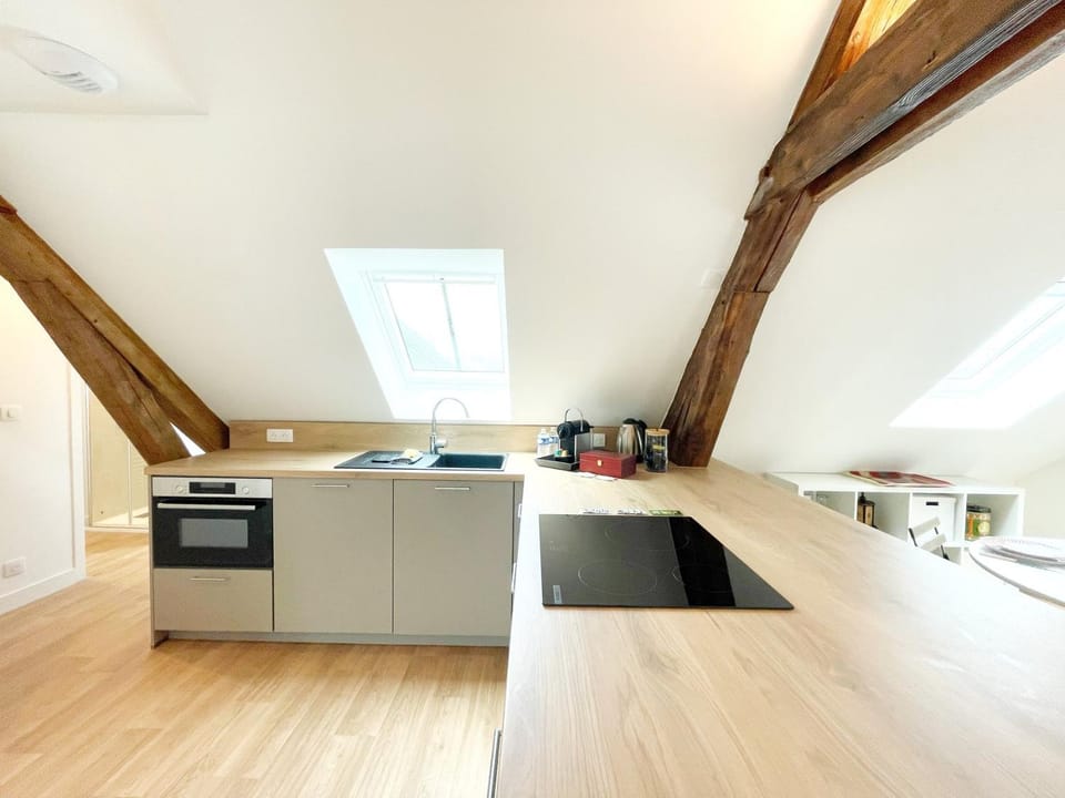 Les Toits de la Cathédrale Apartment in Chartres