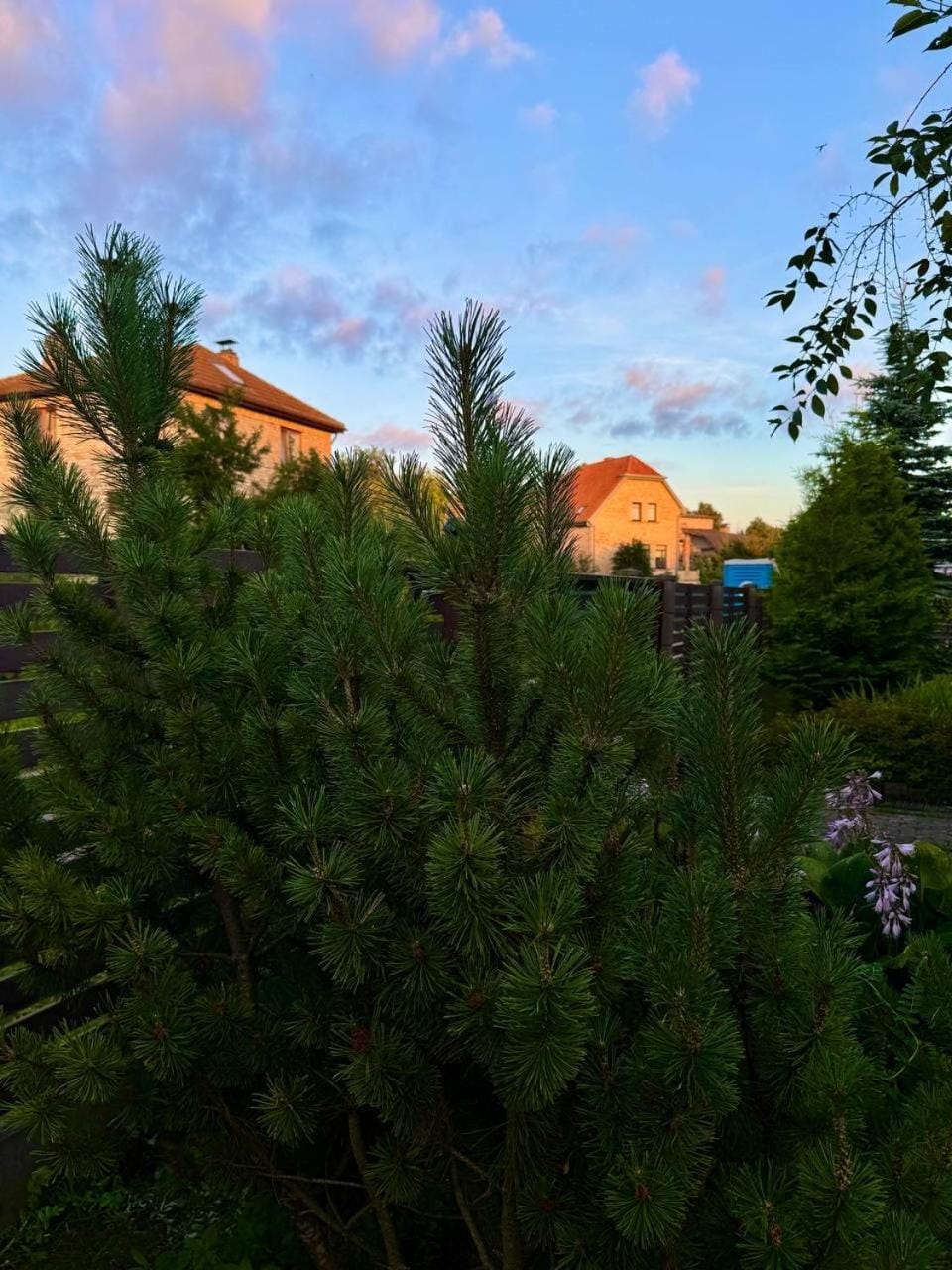 На Видземском взморье Калнгале Chalet in Riga
