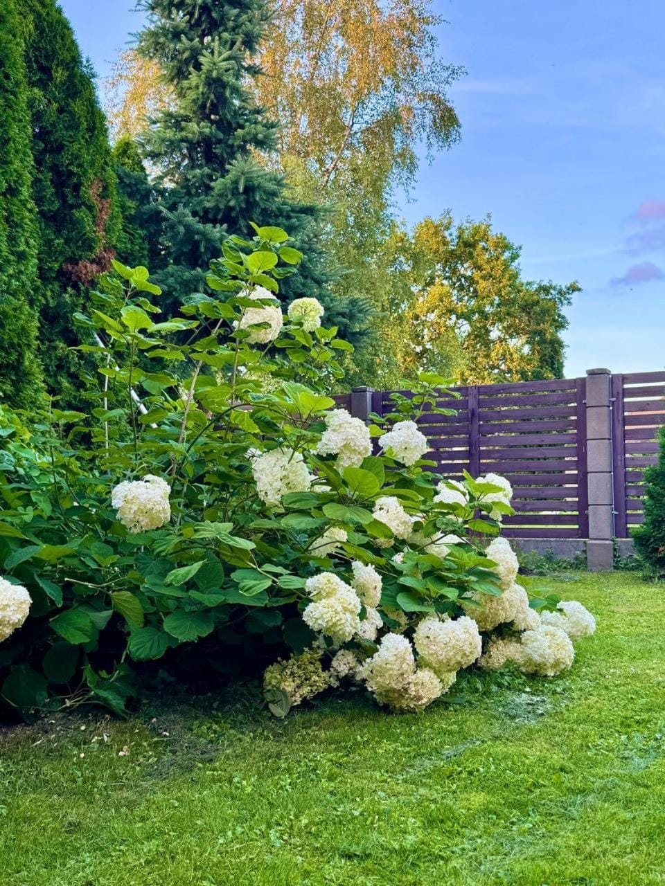На Видземском взморье Калнгале Chalet in Riga