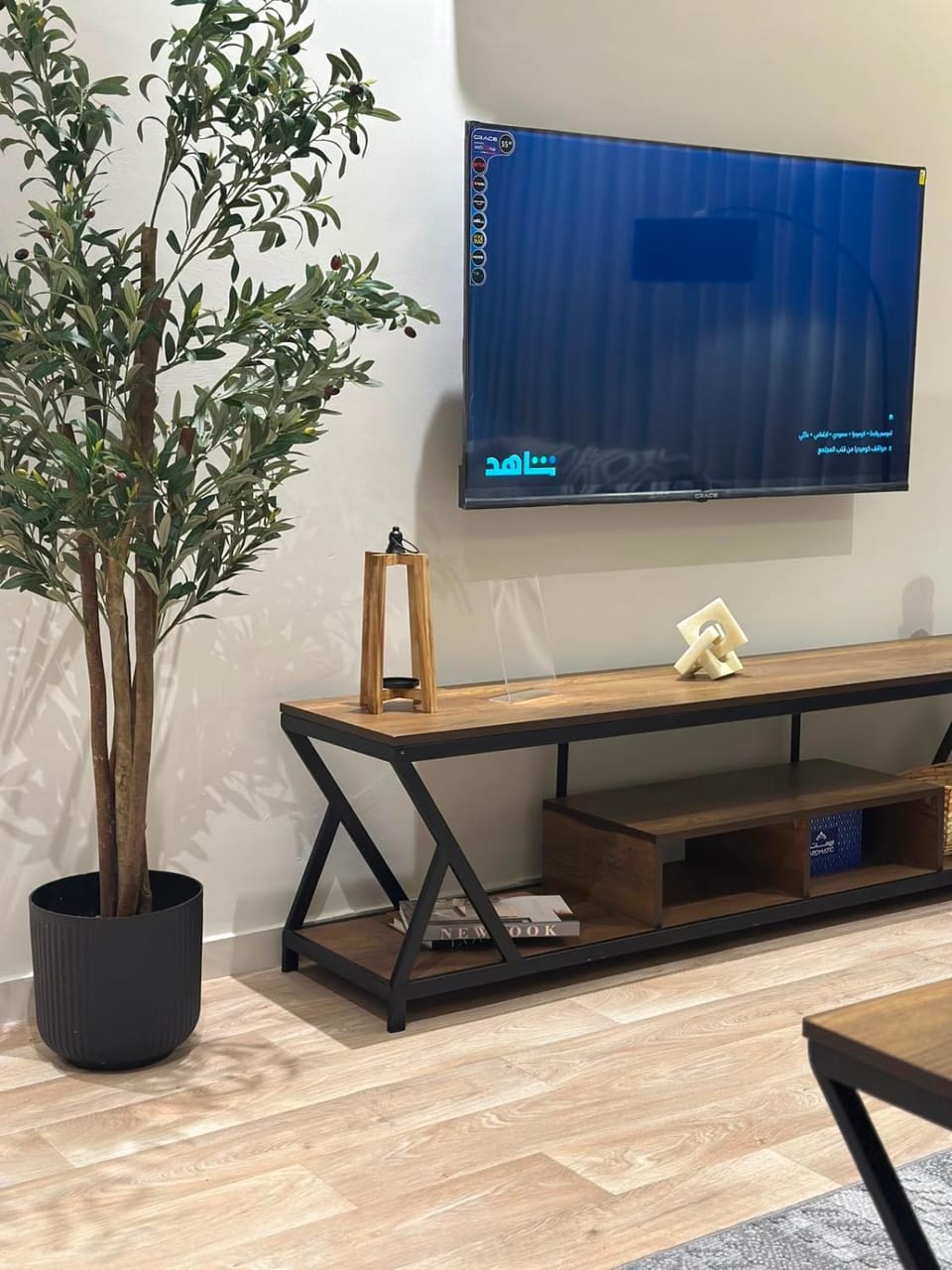 TV and multimedia