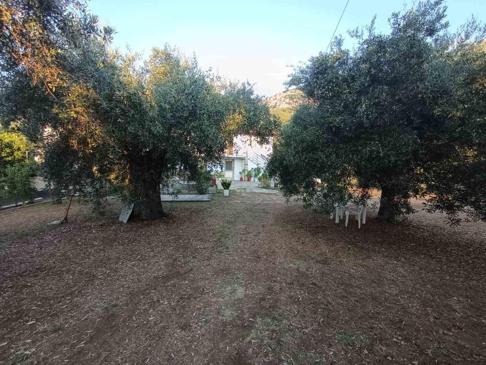 Apartment Zoe House in Thasos