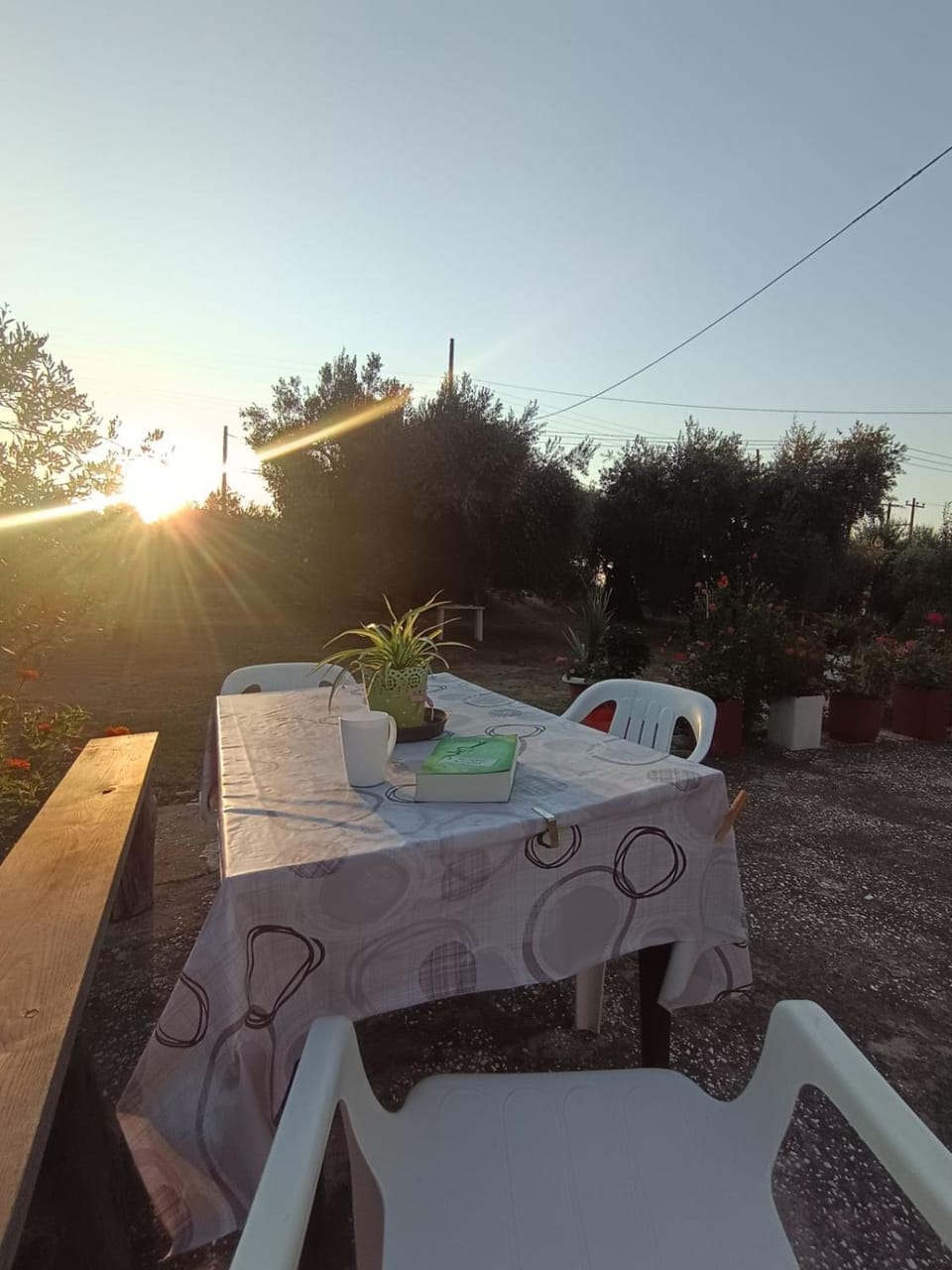 Apartment Zoe House in Thasos