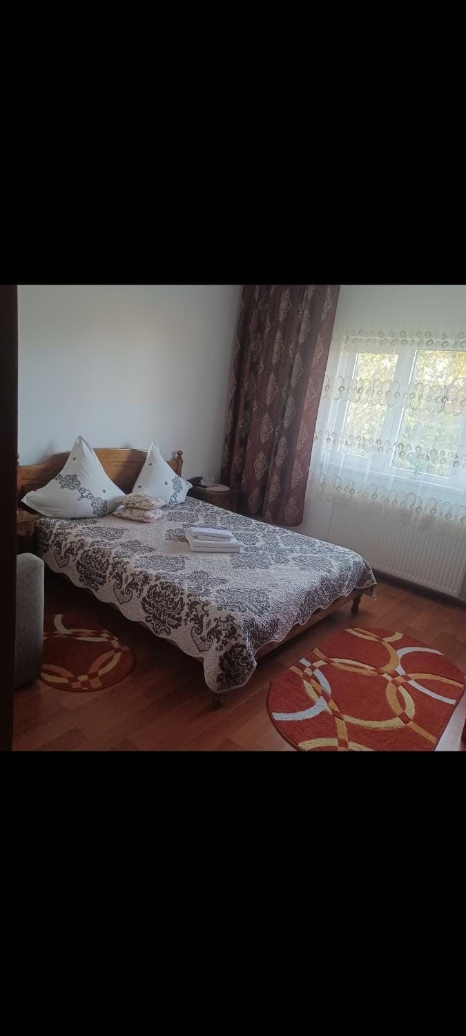 Pensiunea Miruna Bed and Breakfast in Romania