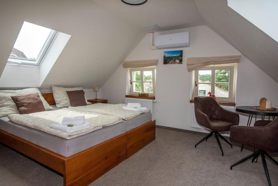 Villa Vidim Villa in Czechia