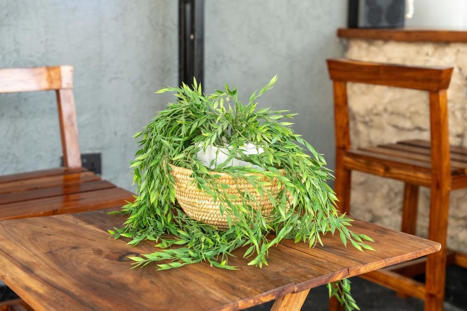 Safari House Vacation rental in City of Dar es Salaam