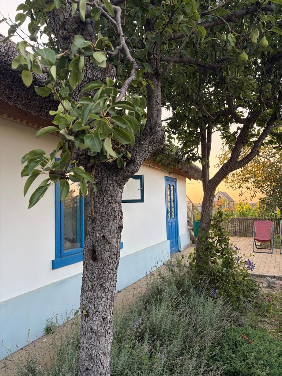 The House of Flowers Country House in Moldova