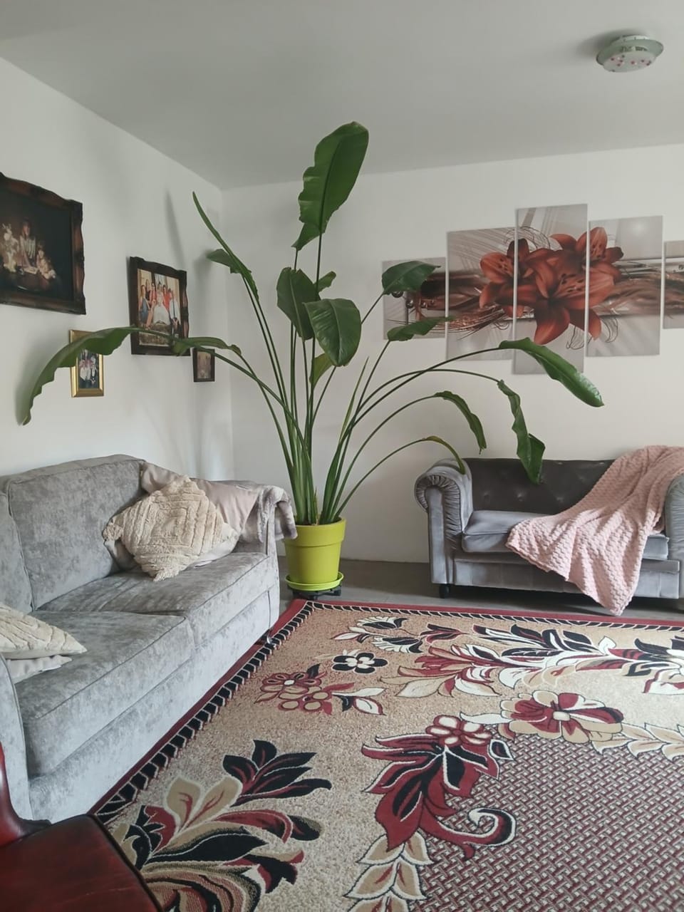 Casa mia House in Nouvelle-Aquitaine