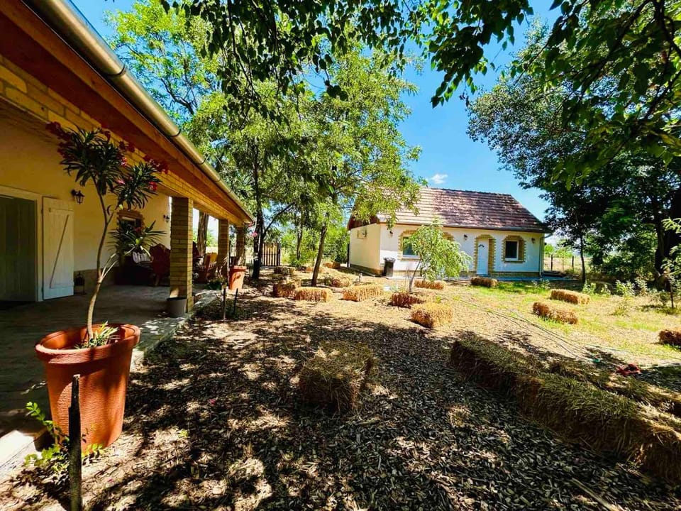 Property building, Garden, Garden view