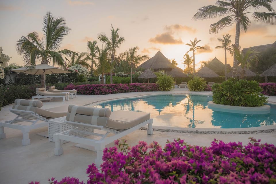 Patio, Area and facilities, Swimming pool