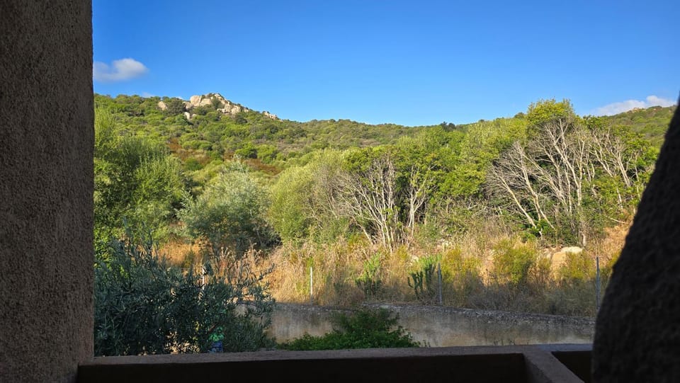 Blu darsena Apartment in Sardinia