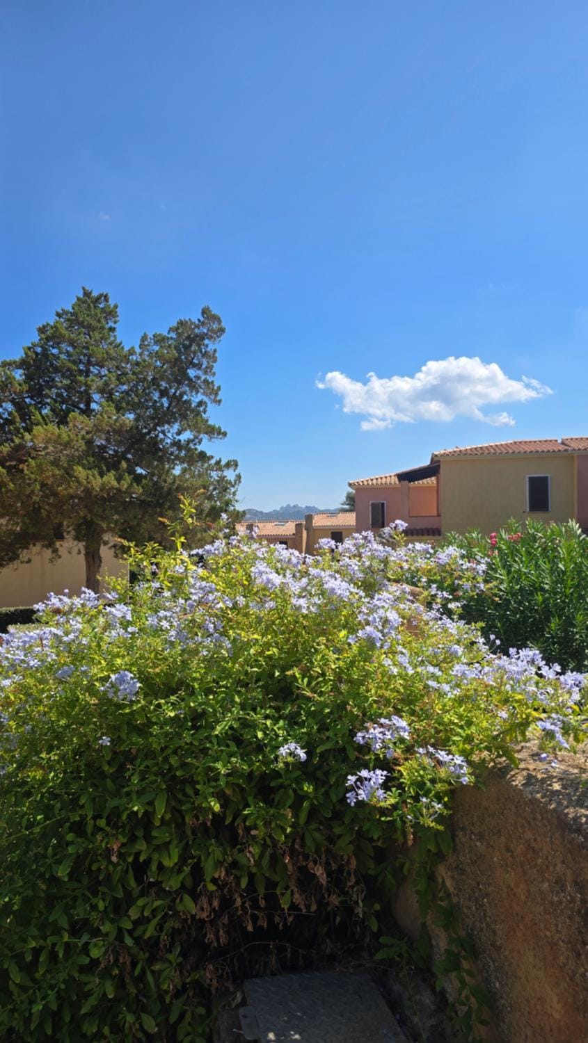 Blu darsena Apartment in Sardinia