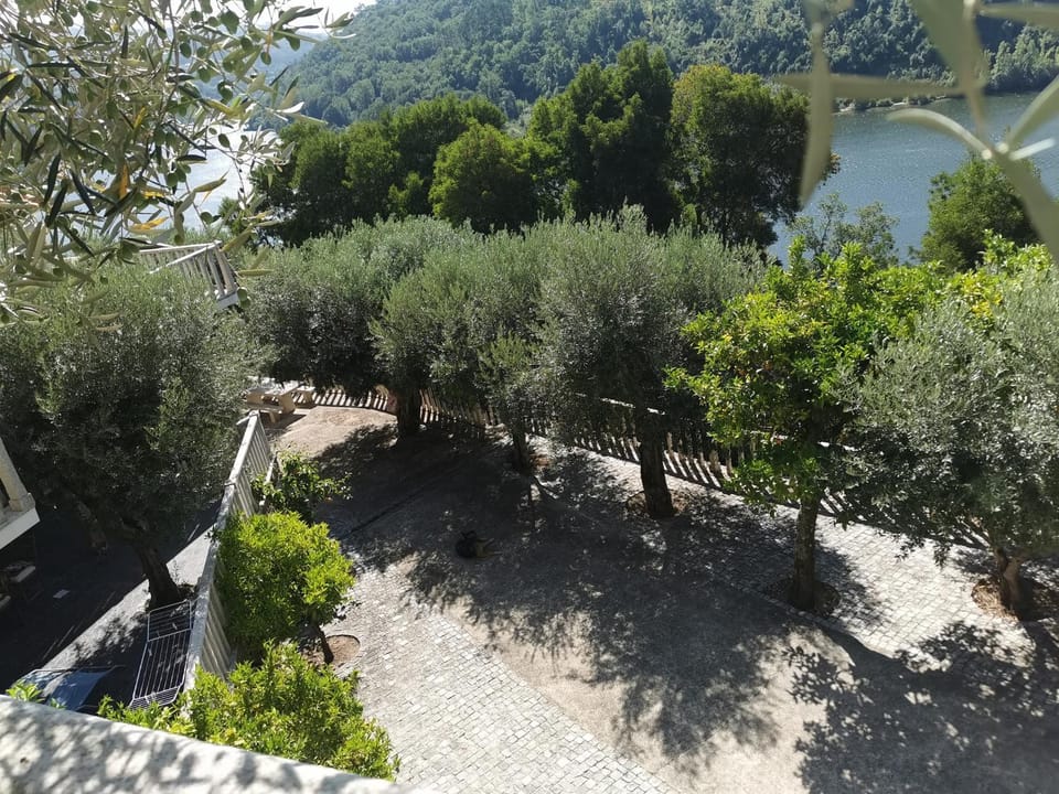 Chez Isabelle House in Porto District