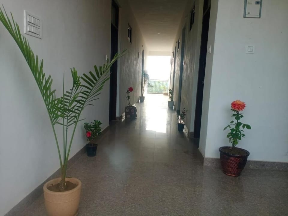 Cherry Heaven Homestay & Girls PG Vacation rental in Himachal Pradesh