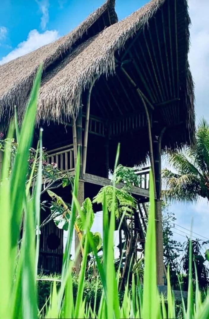 Aska Bamboo House Villa in Tampaksiring