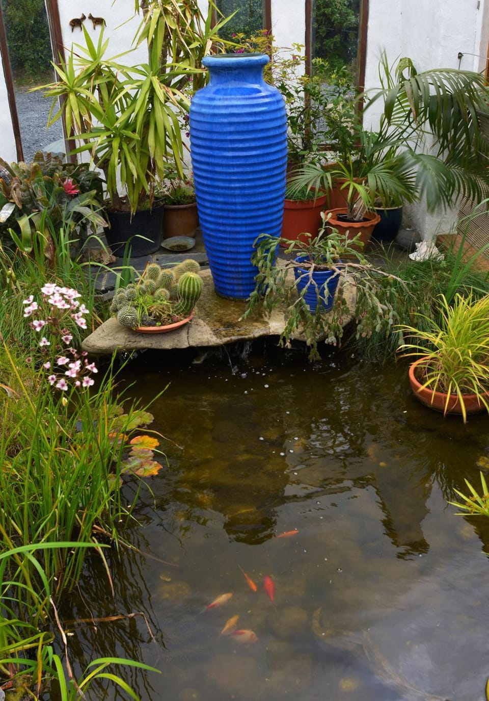 Garden view