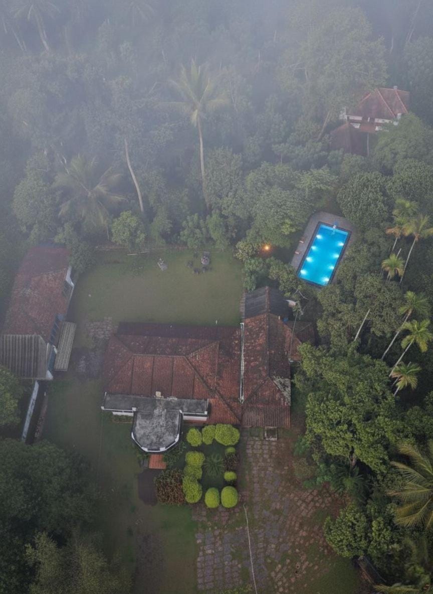 Property building, Natural landscape, Garden