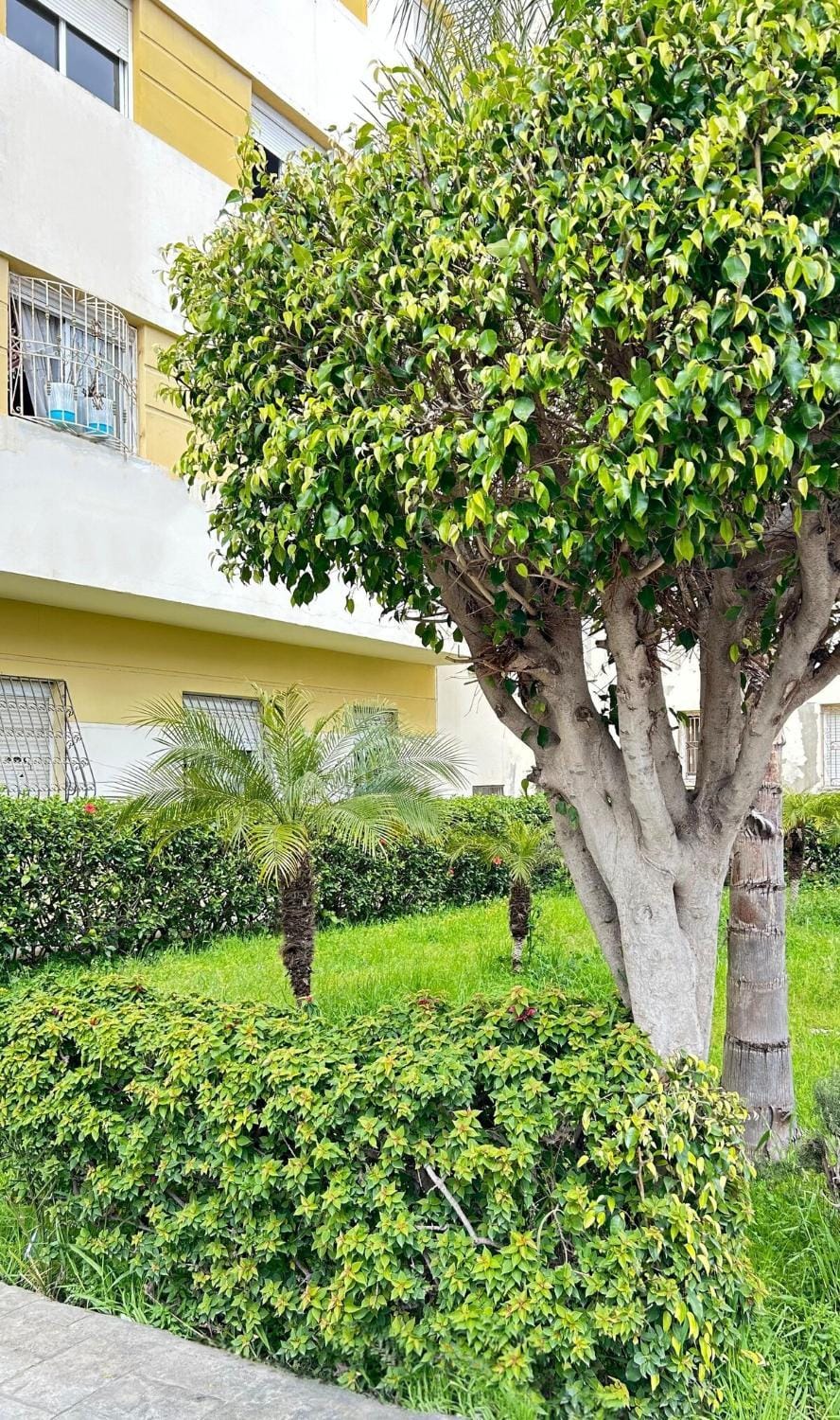 Entire apartment with terrace Apartment in Tangier