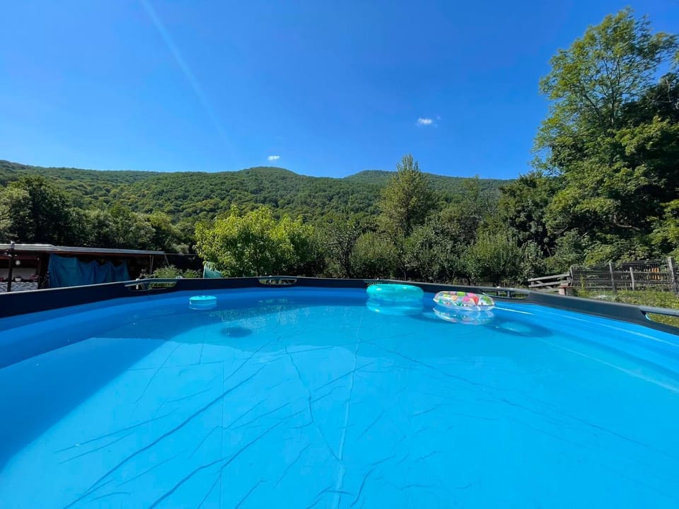 Day, Natural landscape, Pool view, Swimming pool