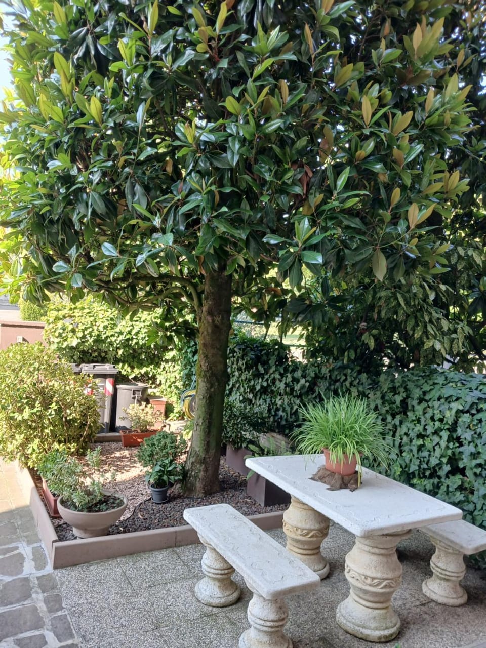 Garden view