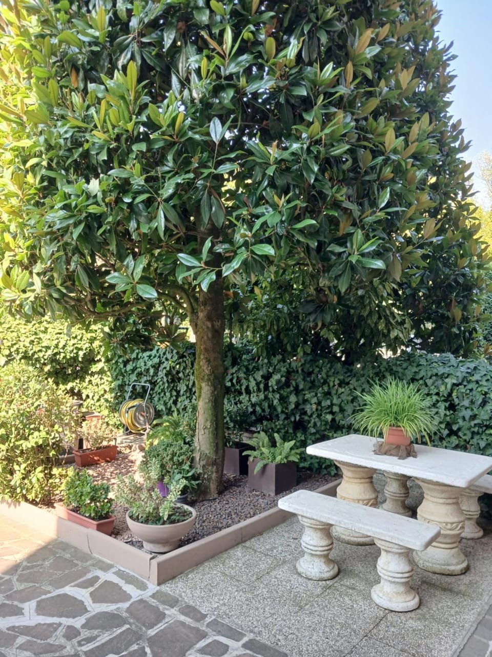 Garden view
